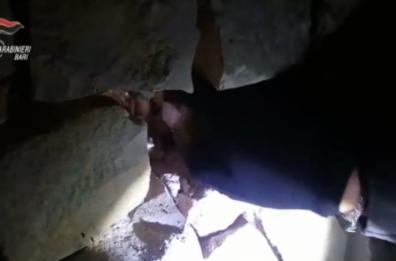 Castellana Grotte: droga, armi e un deposito di auto rubate, 6 arresti