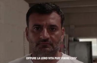 Puglia, uno spot Enpa contro abbandono animali: tra i protagonisti anche Decaro