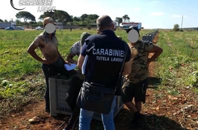 Lecce, truffa all'Inps per 250mila euro: denunciato titolare azienda e 63 falsi braccianti agricoli 
