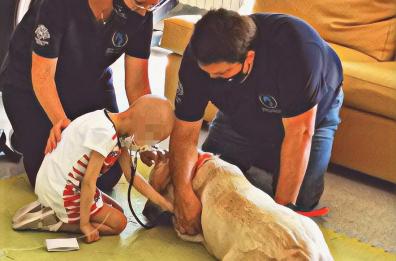 Policlinico Bari, dopo lo stop Covid riprende pet-therapy in reparto Oncoematologia pediatrica