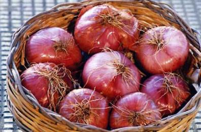 Vent'anni di Presidio Slow Food per la Cipolla Rossa di Acquaviva