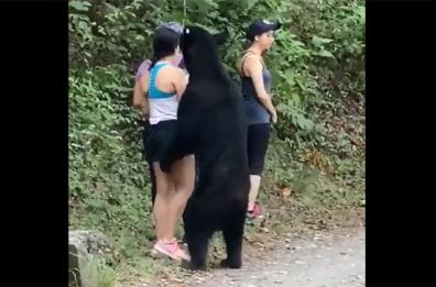 MESSICO - L'orso e la ragazza: selfie nel parco Chipinque