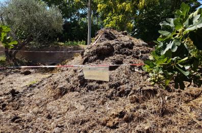 Bari, letame scaricato abusivamente in campagna: denunciato allevatore