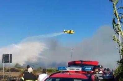 Taranto, rogo in zona Lido Checca: decine di ettari di macchia mediterranea in fiamme
