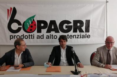 Regionali 2020,  Fitto: «Lopalco candidato? Serve serietà»
