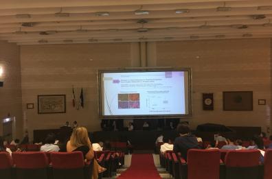 Università Bari, creato pool di esperti per studiare cause tumore del rene  