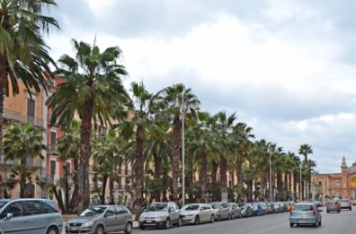 Bari, corso Vittorio Emanuele cambia luce: al via i lavori per il nuovo impianto
