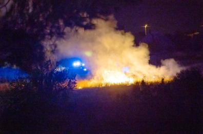 Trani, scoppia l'incendio nel terreno incolto: pericolo annunciato
