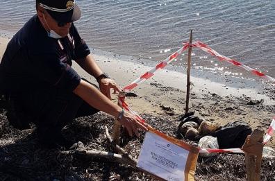 Carne avariata sul litorale di Brindisi, padre e figlio intossicati