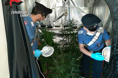 Taranto, coltivavano cannabis nella loro masseria e nascondevano armi: arrestati due fratelli 