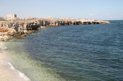 Bisceglie, irrompe l'alga tossica in zona Ripalta e scatta il divieto di balneazione