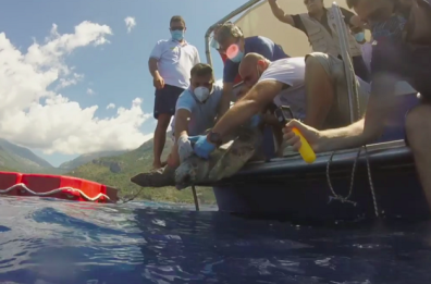 Policoro, dopo le cure la tartaruga Ramona torna in mare