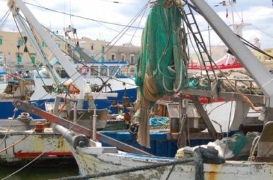 Bari, addio pesce fresco: il fermo biologico fino al 20 agosto