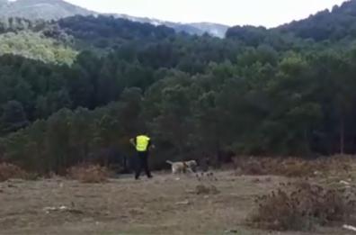 SICILIA - Caronia (Messina), trovato cadavere di una donna