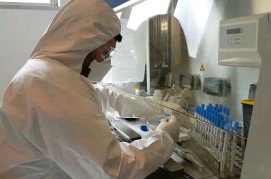 Covid 19 Puglia, tampone per chi torna da Spagna, Malta e Grecia: se è negativo niente isolamento. La circolare