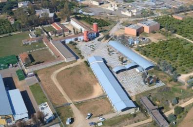 Puglia, la guerra degli «studios»: Afc attacca i suoi ex manager
