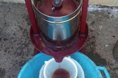 Vincotto e salsa: ecco le bontà dell'estate secondo la tradizione nel Barese