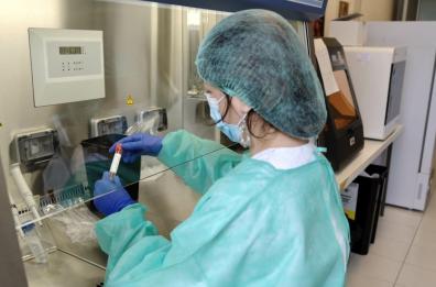Covid-19, sierologico a chi rientra in Italia da 4 paesi, in Puglia obbligo tampone