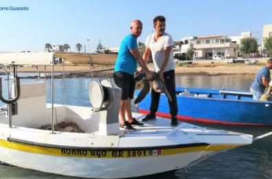 Due pescatori salvano tartaruga a Torre Guaceto