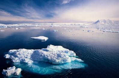 Momenti di terrore nei mari antartici 