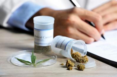 Bari, cannabis «leggera»: nascono i negozi della porta accanto