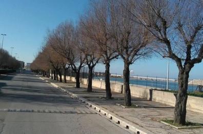 Molfetta, lungomare di Ponente: lavori imminenti 