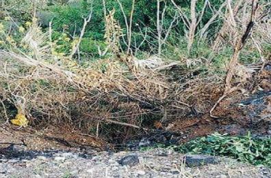 Bernalda, residenti pronti ad un esposto per la frana di via Basso