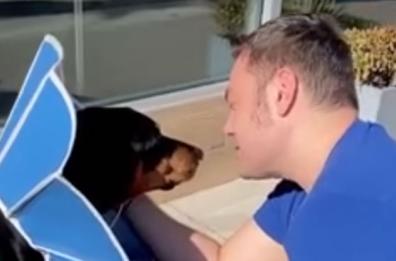 Tiziano Ferro in lacrime: il mio cane Beau non ce l'ha fatta