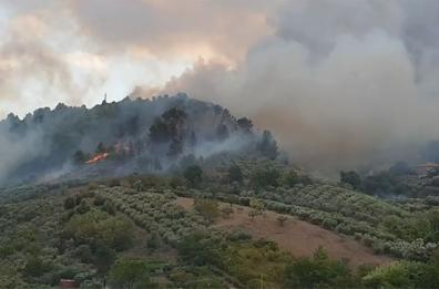 ABRUZZO - Pescara, incendio zona Colle Renazzo