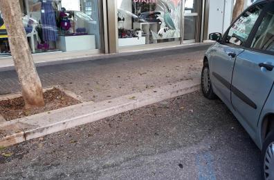 Lecce: «Assediati dai piccioni, fra disagi e cattivi odori serve garantire l’igiene» 