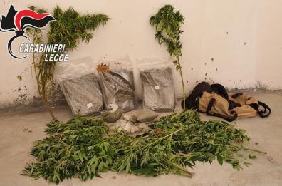 Lecce,  blitz nel campo nomadi: scoperti  oltre 3 chili di droga e piante di marijuana