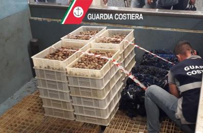Bari, sequestrate oltre 3 tonnellate di prodotti ittici non tracciati e scaduti: 6 persone denunciate 