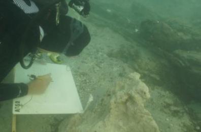 Archeologia, 3 Università pugliesi insieme per scavi subacquei