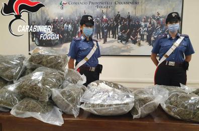 Foggia, due 30enni in stazione con 14kg di marijuana: arrestati