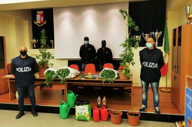 Bernalda, scoperta piantagione cannabis lungo fiume Bradano: 2 in manette