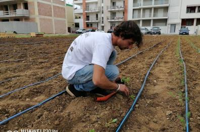 Nella periferia di Rutigliano spunta l'orto urbano coltivato dai cittadini