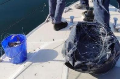 Taranto, Guardia Costiera sequestra reti in tratto vietato del Mar Piccolo