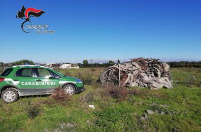 Castellaneta, abbandona rifiuti speciali  e li brucia su un terreno: nei guai 62enne