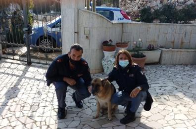 Monopoli, polizia salva pastore tedesco dalla strada e 3 cuccioli abbandonati tra i rifiuti