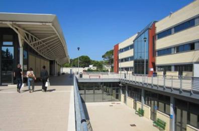 UniSalento, incursione di hater al seminario online sui palestinesi