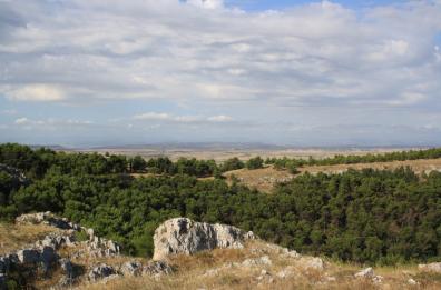 Via libera dal Mise all'emissione di 5 francobolli dedicati a tesori del Parco Nazionale dell'Alta Murgia