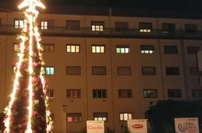 Corato, alberi di Natale speciali davanti al cimitero e all'ospedale 