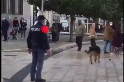 Taranto, calci a Max il cane «mascotte» del quartiere: Questura acquisisce video