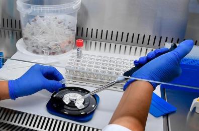 Allarme variante Coronavirus «inglese», caso sospetto a Bari: 25enne rientrata da Londra 