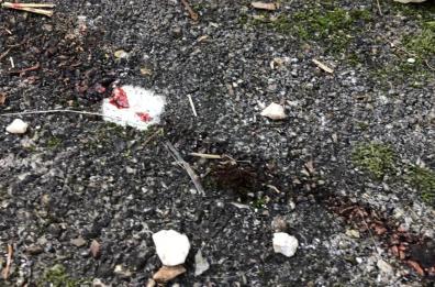 Allevatore ucciso nel Foggiano: morto mezz'ora prima del ritrovamento: ascoltati parenti e amici