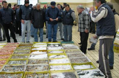 L'indagine dell'Antimafia di Bari: «I mercati ittici in mano ai clan»