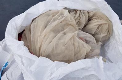 Taranto, Guardia Costiera contro la pesca di bianchetto: sequestri e 4mila euro di multa
