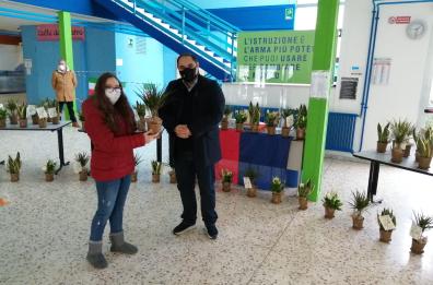Taranto, piantine antinquinanti nelle scuole: al via «La Natura entra in classe»