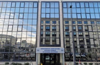 Matera, truffa per fondi pubblici in agricoltura: 11 arresti, tra loro funzionari Ismea e Regione Basilicata. 22 indagati e sequestrati 8,2 mln 