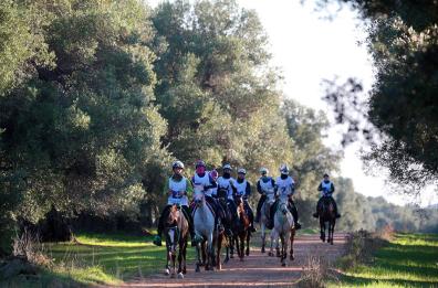 Torre Guaceto, il 20 e 21 febbraio arriva la gara internazionale Al Gawsit Endurance Cup